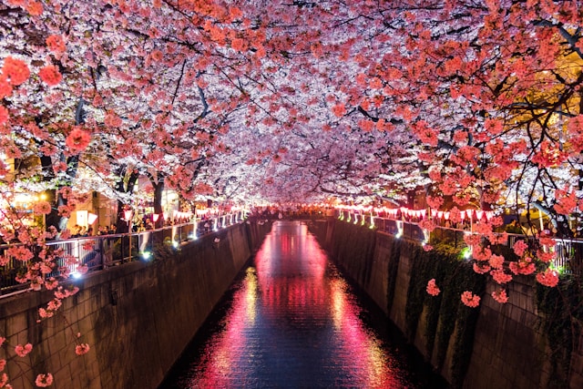 Japan Flüge mit SkyExplorer