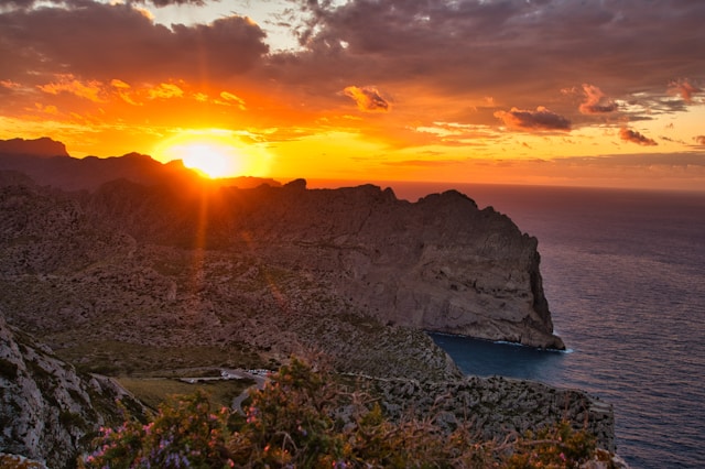 Flüge nach Mallorca