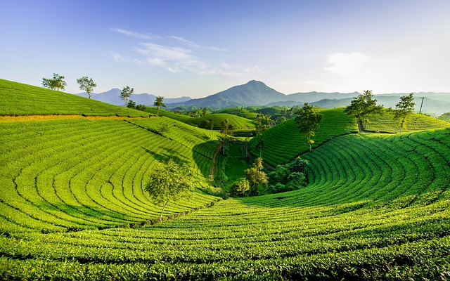 Vietnam Flüge mit SkyExplorer